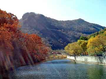 新澳天天开奖资料大全旅游团，速达通物流